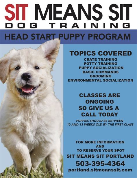 Sit Means Sit Dog Training Prices